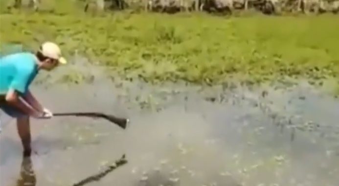 Man probeert alligator te slaan met geweer, schiet zichzelf in het been