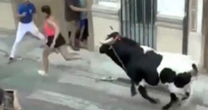 Enkele Spaanse vrouwen maken van dichtbij kennis met een boze stier