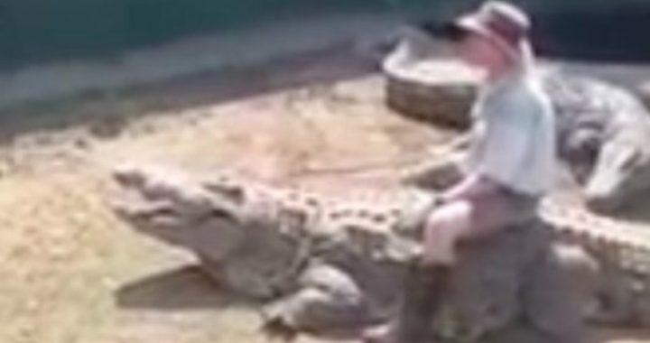 Man gaat op een krokodil zitten, maar het was vast de laatste keer